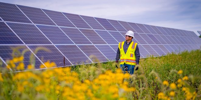 La energía solar permite a Europa reducir su dependencia del petróleo
